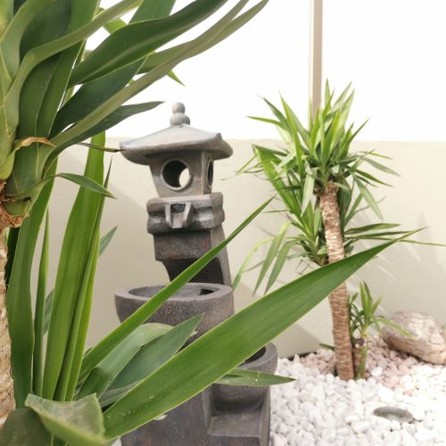 Detalle de plantas tropicales y farol de piedra en el jardín de la Villa Ocean Pacific